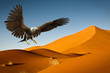 american bald eagle desert hunting