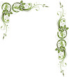 Blumen, Blüten, Blätter, Laub, Ranke, flora, filigran, grün