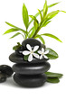 Spa still life, with white flowers and bamboo leavs Spa still life, with white flowers and bamboo leavs