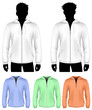 Vector. Hooded sweatshirt with zipper design template.
