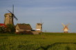 windmills