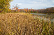Autumn marsh