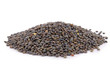 légume sec, lentille