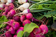 Turnips Turnips