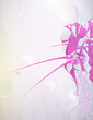 abstract forms, design elements, graffiti abstract forms, design elements, graffiti