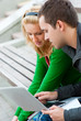 A couple of students studying