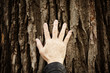 touch the nature