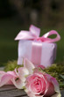 Gift with bow and pink rose Gift with bow and pink rose