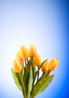 Bouquet of colorful tulips on the table Bouquet of colorful tulips on the table