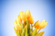 Bunch of tulip flowers on the table Bunch of tulip flowers on the table