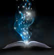 magic book