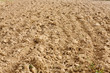 Plowed fertile soil Plowed fertile soil