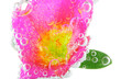 macro of a flower with water bubbles isolated macro of a flower with water bubbles isolated