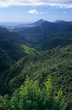 Black river gorge Mauritius Island Black river gorge Mauritius Island