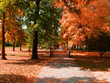 Tower Grove Orange