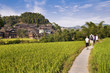 Promenade dans les rizières en pays Dong - South China