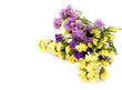 Statice flowers - Limonium Sinuatum