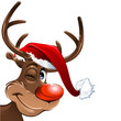 rudolph with christmas hat