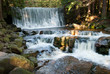 Waterfall Dziki