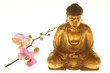 Goldener Budda mit Orchidee