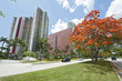 Photo: Downtown Miami Downtown Miami