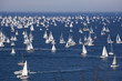 La Barcolana a Trieste