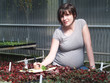 Pregnant Working Woman Pregnant Working Woman