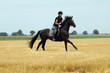 Foto: Vollblut Vollblut
