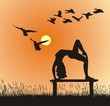 Yoga in Nature Yoga in Nature