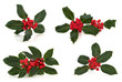 Holly Leaf and Berry Sprigs Holly Leaf and Berry Sprigs