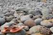 steinstrand