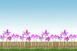 bamboo fence
