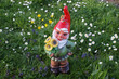 Gartenzwerg auf grüner Blumenwiese
