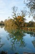 Payge et reflet