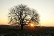 Levé de soleil