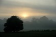 Levé de soleil dans la brume haut-marnaise