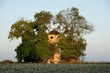 Cache-cache avec les arbres