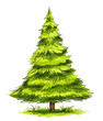 Сhristmas tree illustration