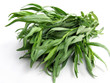 Tarragon or Estragon