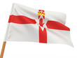 Flag of ireland Flag of ireland