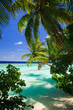 Tropical Paradise at Maldives