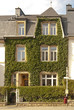 House covered with neatly treated ivy