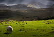 Stormy weather in Wales