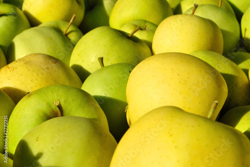Photo: apples apples