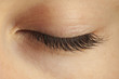 Close-up of closed eye Close-up of closed eye