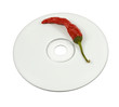 Compact disk of red hot chilli peppers