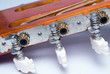 Guitar Head