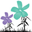 exotische Blumen
