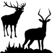Vektor: Hirsch und Rentier Hirsch und Rentier