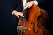 stand up bass stand up bass